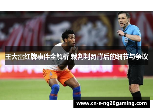 王大雷红牌事件全解析 裁判判罚背后的细节与争议